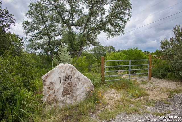 199 County Road 2733, Mico, Texas image 18