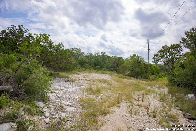 199 County Road 2733, Mico, Texas image 9