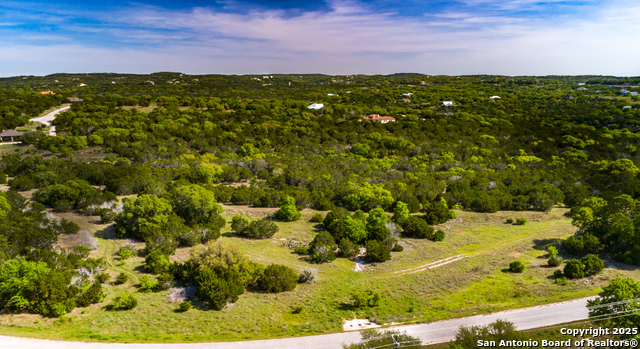 211 Bindweed Lane, Spring Branch, Texas image 1