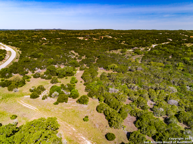 211 Bindweed Lane, Spring Branch, Texas image 10