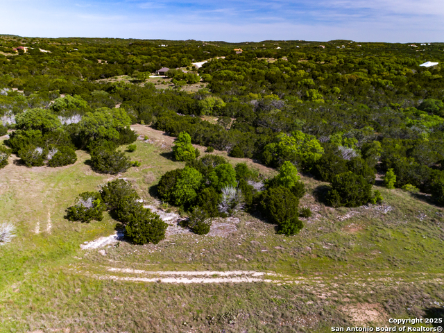 211 Bindweed Lane, Spring Branch, Texas image 11