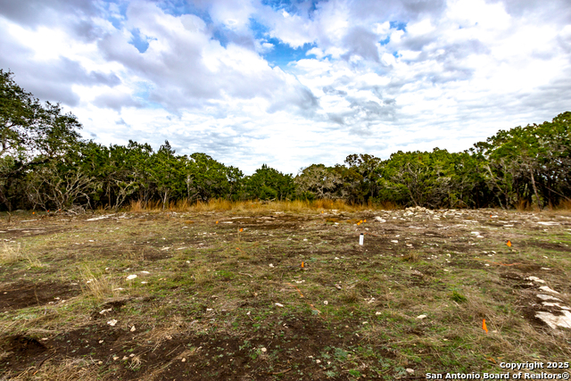 211 Bindweed Lane, Spring Branch, Texas image 12