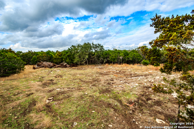 211 Bindweed Lane, Spring Branch, Texas image 18