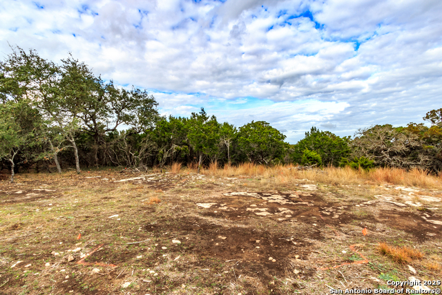 211 Bindweed Lane, Spring Branch, Texas image 19