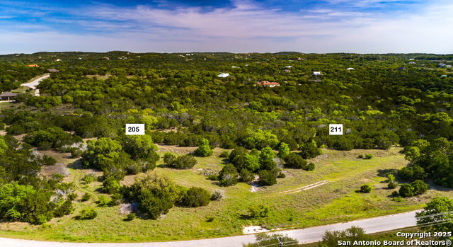 211 Bindweed Lane, Spring Branch, Texas image 2