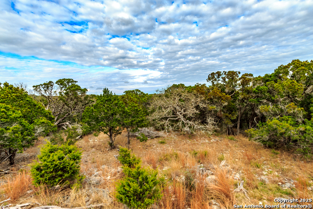 211 Bindweed Lane, Spring Branch, Texas image 20