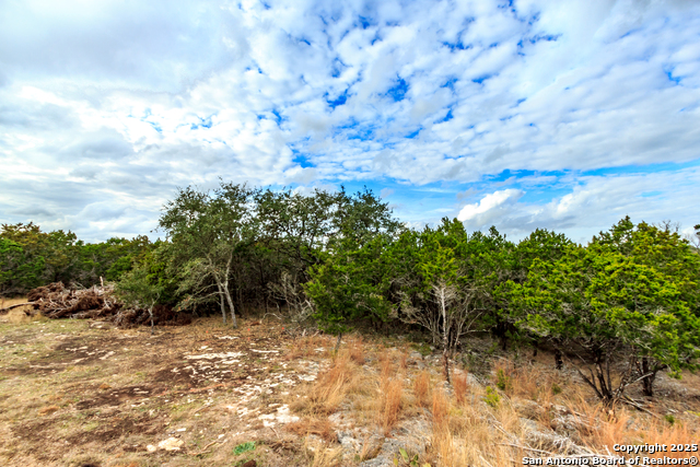 211 Bindweed Lane, Spring Branch, Texas image 21