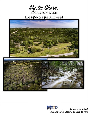 211 Bindweed Lane, Spring Branch, Texas image 3
