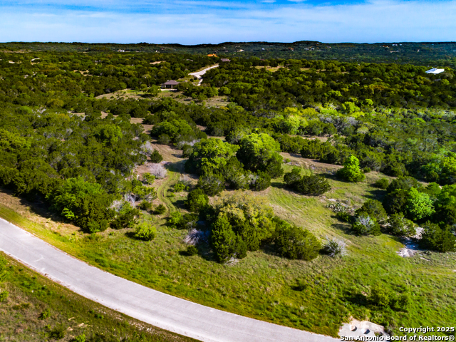 211 Bindweed Lane, Spring Branch, Texas image 6