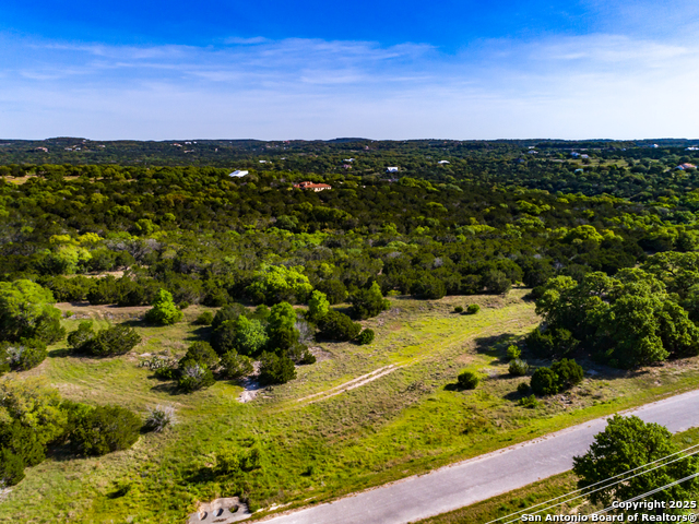 211 Bindweed Lane, Spring Branch, Texas image 7
