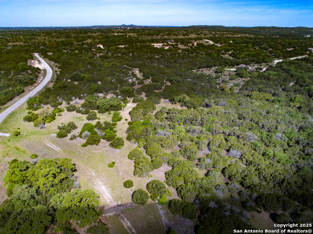 211 Bindweed Lane, Spring Branch, Texas image 9