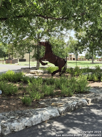 LOT 6 Antler Cir, Bandera, Texas image 7
