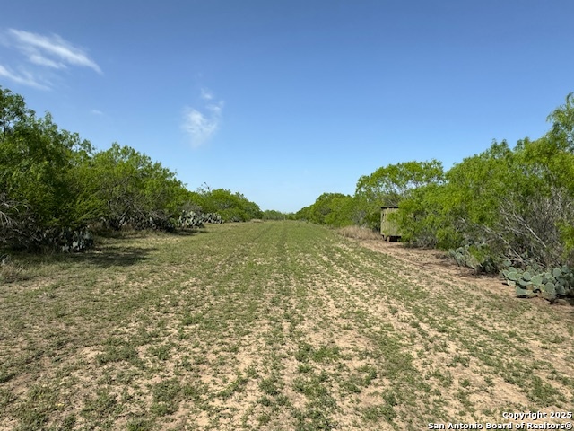 14 Windmill Ranchettes Cr 329, Jourdanton, Texas image 2