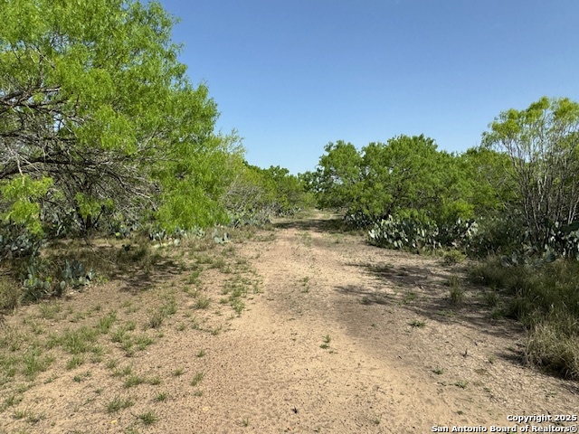 18 Windmill Ranchettes Cr 329, Jourdanton, Texas image 1