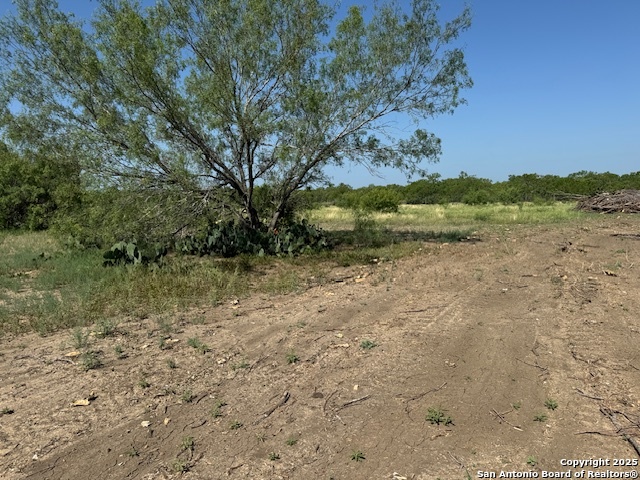 18 Windmill Ranchettes Cr 329, Jourdanton, Texas image 4