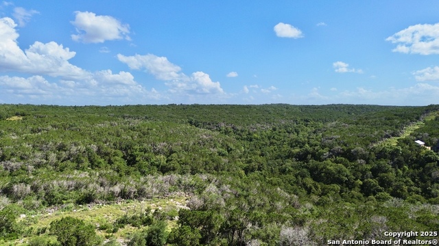 416 Hilltop, New Braunfels, Texas image 10