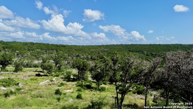 416 Hilltop, New Braunfels, Texas image 11