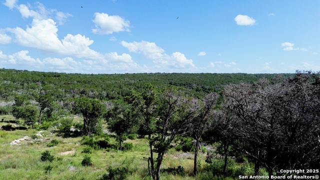 416 Hilltop, New Braunfels, Texas image 12