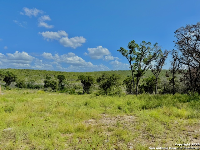 416 Hilltop, New Braunfels, Texas image 2