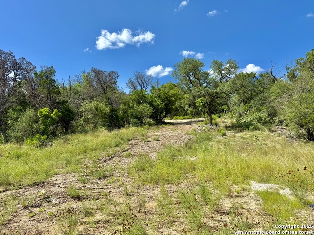 416 Hilltop, New Braunfels, Texas image 4