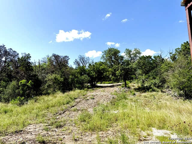416 Hilltop, New Braunfels, Texas image 5