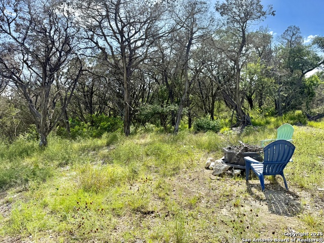 416 Hilltop, New Braunfels, Texas image 6