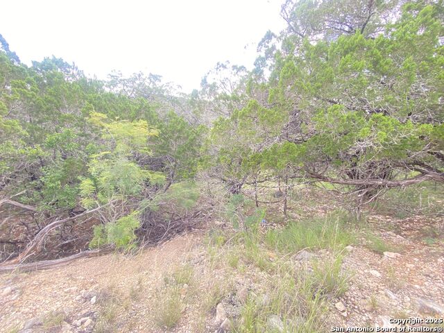 000 Cat Claw Mtn, ConCan, Texas image 10