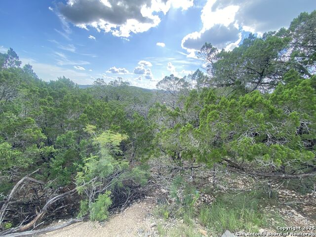 000 Cat Claw Mtn, ConCan, Texas image 11