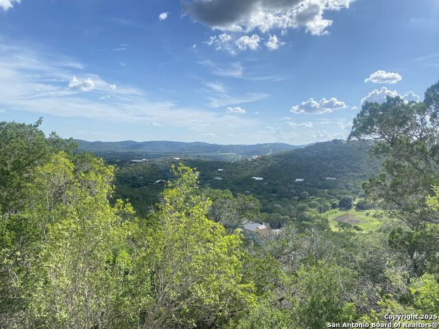 000 Cat Claw Mtn, ConCan, Texas image 2