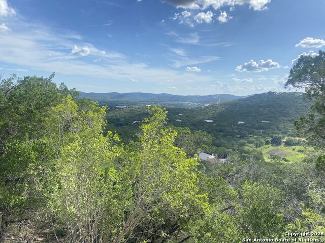 000 Cat Claw Mtn, ConCan, Texas image 3