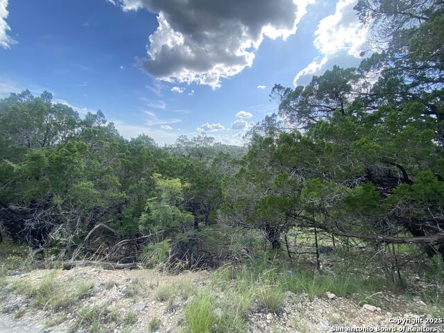000 Cat Claw Mtn, ConCan, Texas image 7