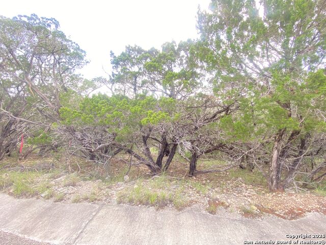 000 Cat Claw Mtn, ConCan, Texas image 8