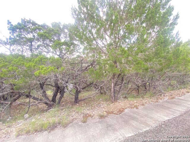 000 Cat Claw Mtn, ConCan, Texas image 9
