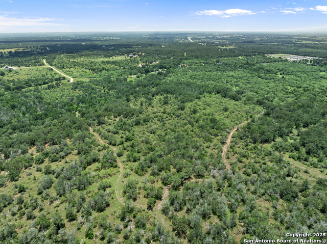 TBD Burdette Wells Rd, Lockhart, Texas image 10