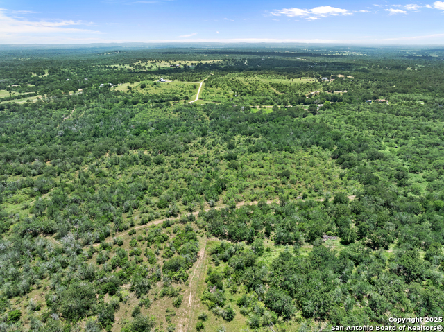 TBD Burdette Wells Rd, Lockhart, Texas image 11