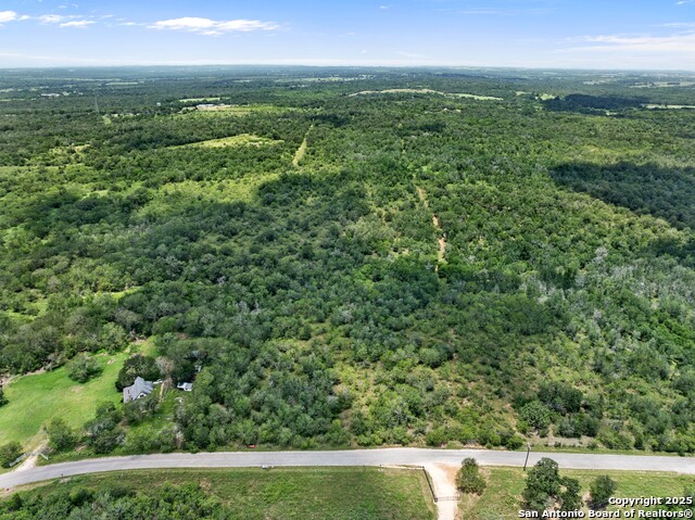 TBD Burdette Wells Rd, Lockhart, Texas image 2