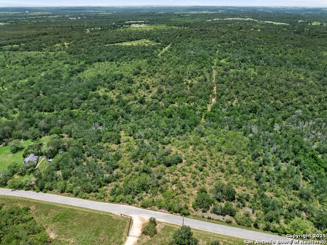 TBD Burdette Wells Rd, Lockhart, Texas image 4