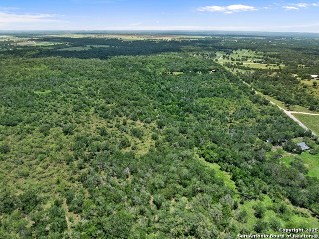 TBD Burdette Wells Rd, Lockhart, Texas image 6