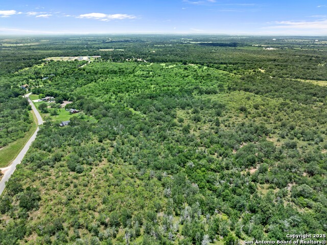 TBD Burdette Wells Rd, Lockhart, Texas image 7