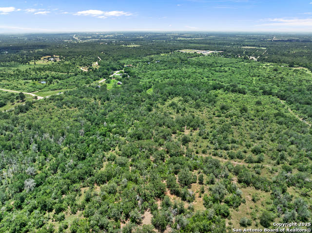 TBD Burdette Wells Rd, Lockhart, Texas image 9