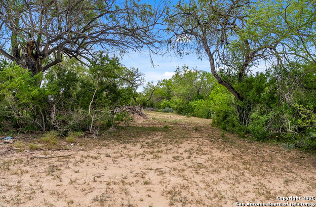 1402 Stephens Dr., George West, Texas image 3