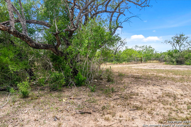 1402 Stephens Dr., George West, Texas image 6
