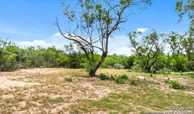 1402 Stephens Dr., George West, Texas image 9