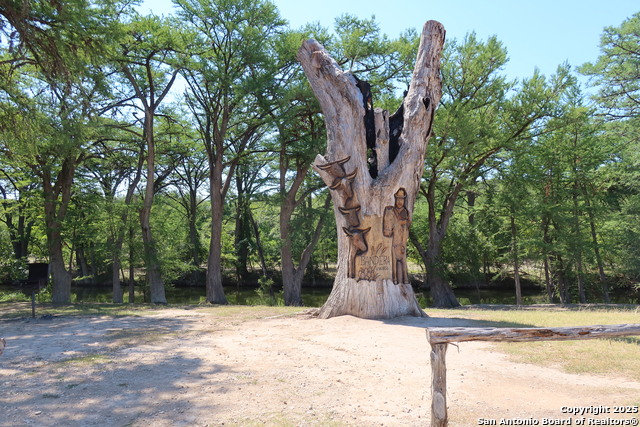 LOT  23 Cypress, Bandera, Texas image 11
