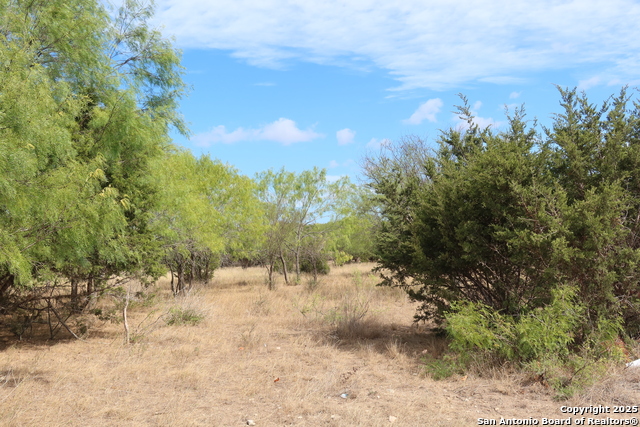LOT  23 Cypress, Bandera, Texas image 2
