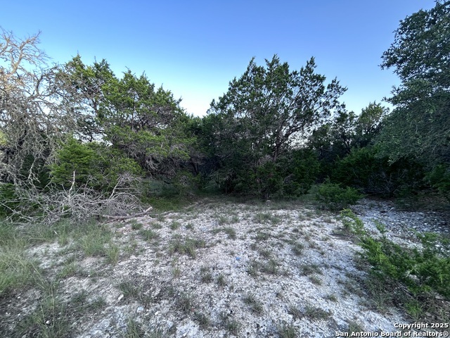 320 Frontier Ln, Bandera, Texas image 10