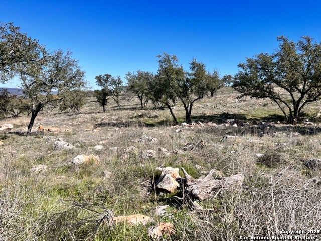 TBD LOT 202 Westridge Way, Kingsland, Texas image 1