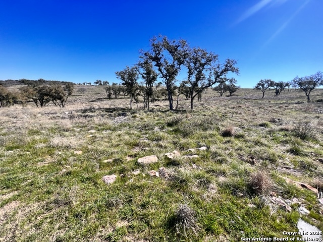 TBD LOT 202 Westridge Way, Kingsland, Texas image 2