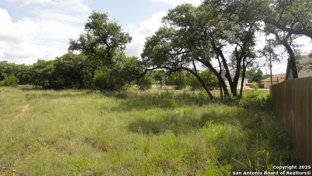 116 Peter Kleid Lp, Blanco, Texas image 12