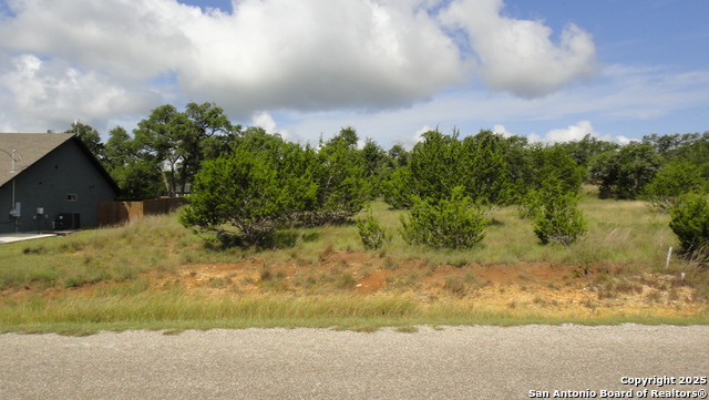 116 Peter Kleid Lp, Blanco, Texas image 5